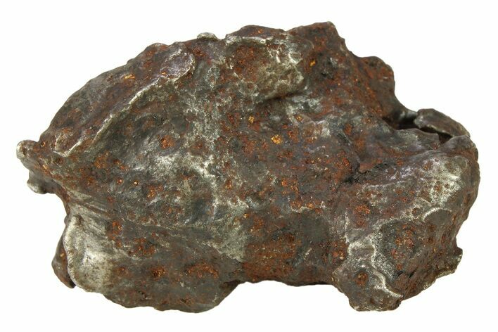 Sikhote-Alin Iron Meteorite Shrapnel ( g) - Russia #287726